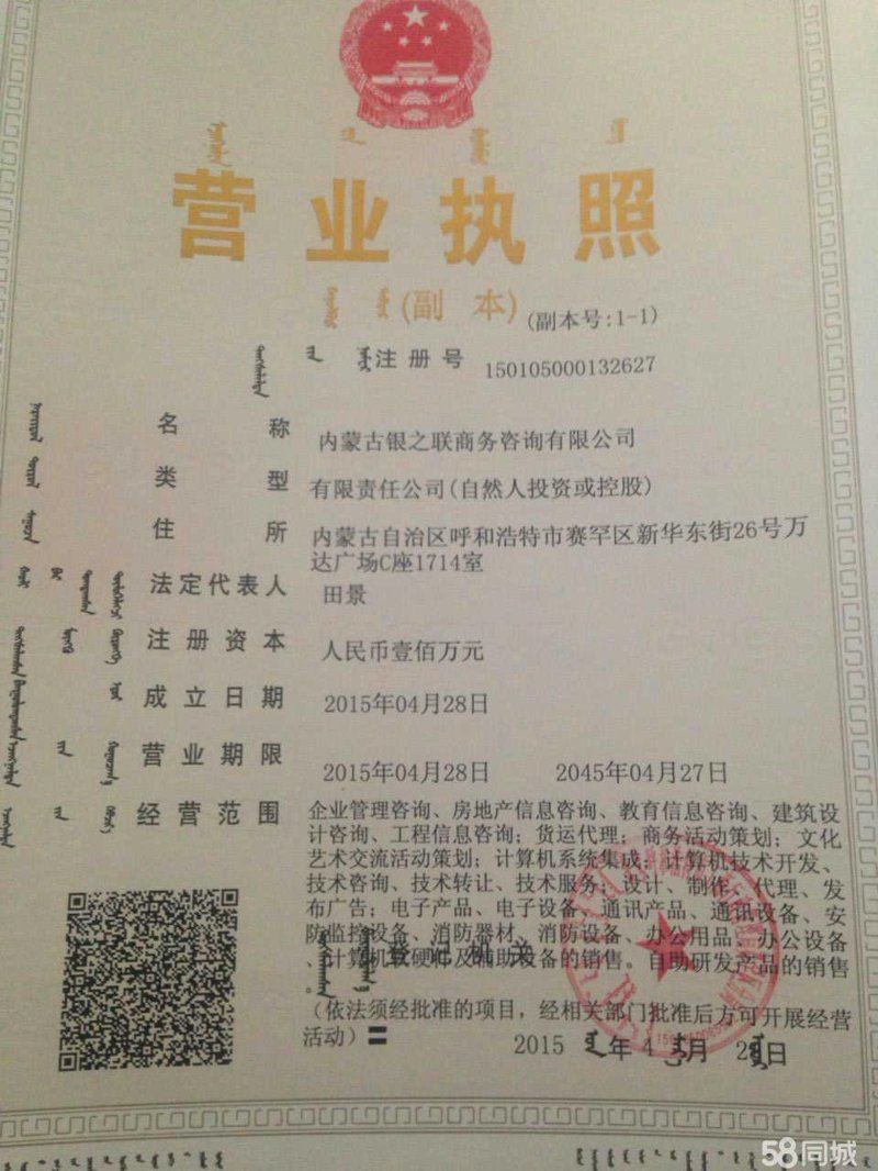 商务信息咨询服务